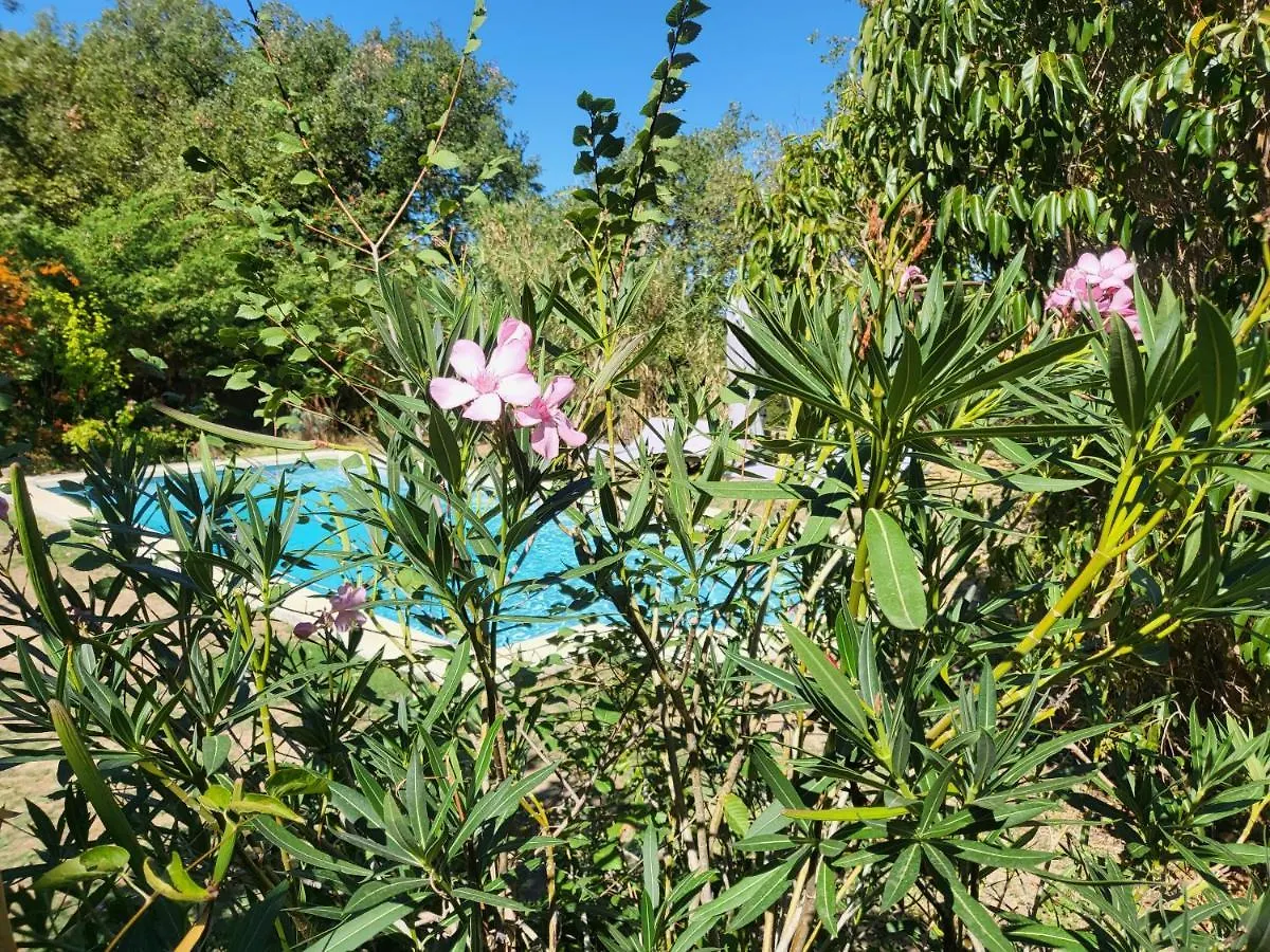 Bed and Breakfast Le Cabanon Ménerbes